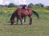 DSC00005.JPG