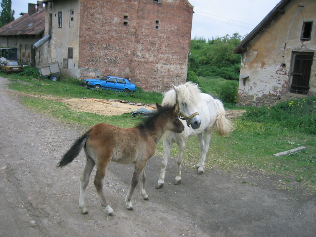 IMG_0051.JPG