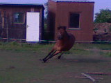 DSC00003.JPG
