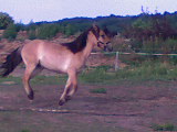DSC00004.JPG